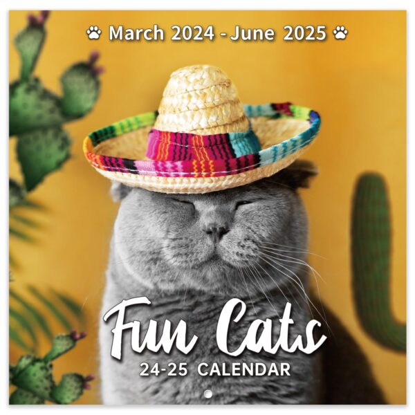 2025 Desk Calendar Cats
