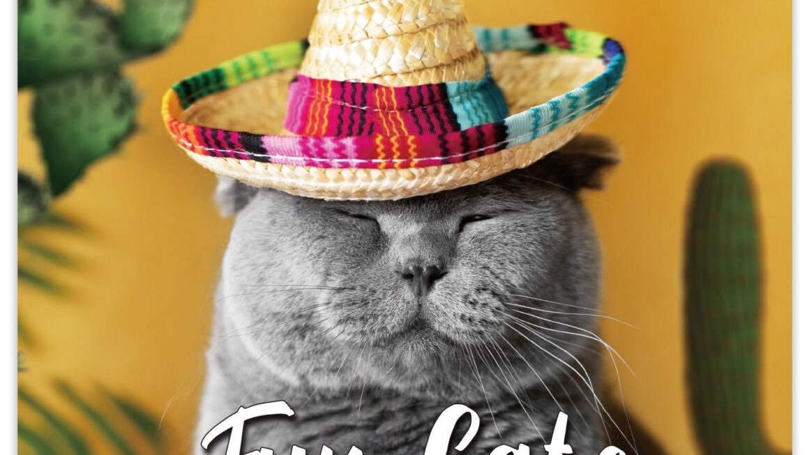 2025 Calendar Funny Declan Joy