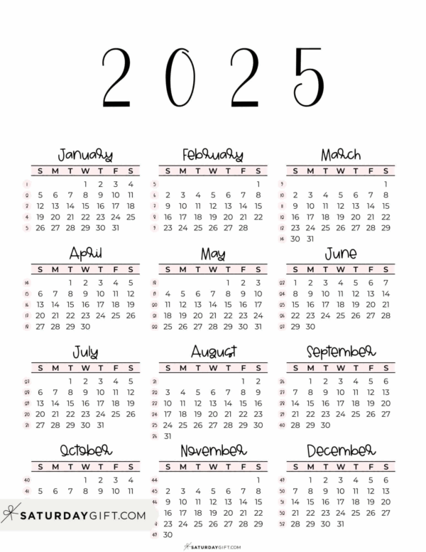 Cute Small Calendar 2025