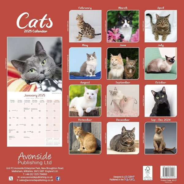 2025 Cat Wall Calendar