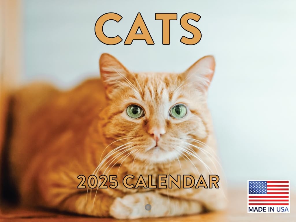 Amazon Cat Calendar 2025 Monthly Wall Calender 12 Month American Made In The USA Office Products