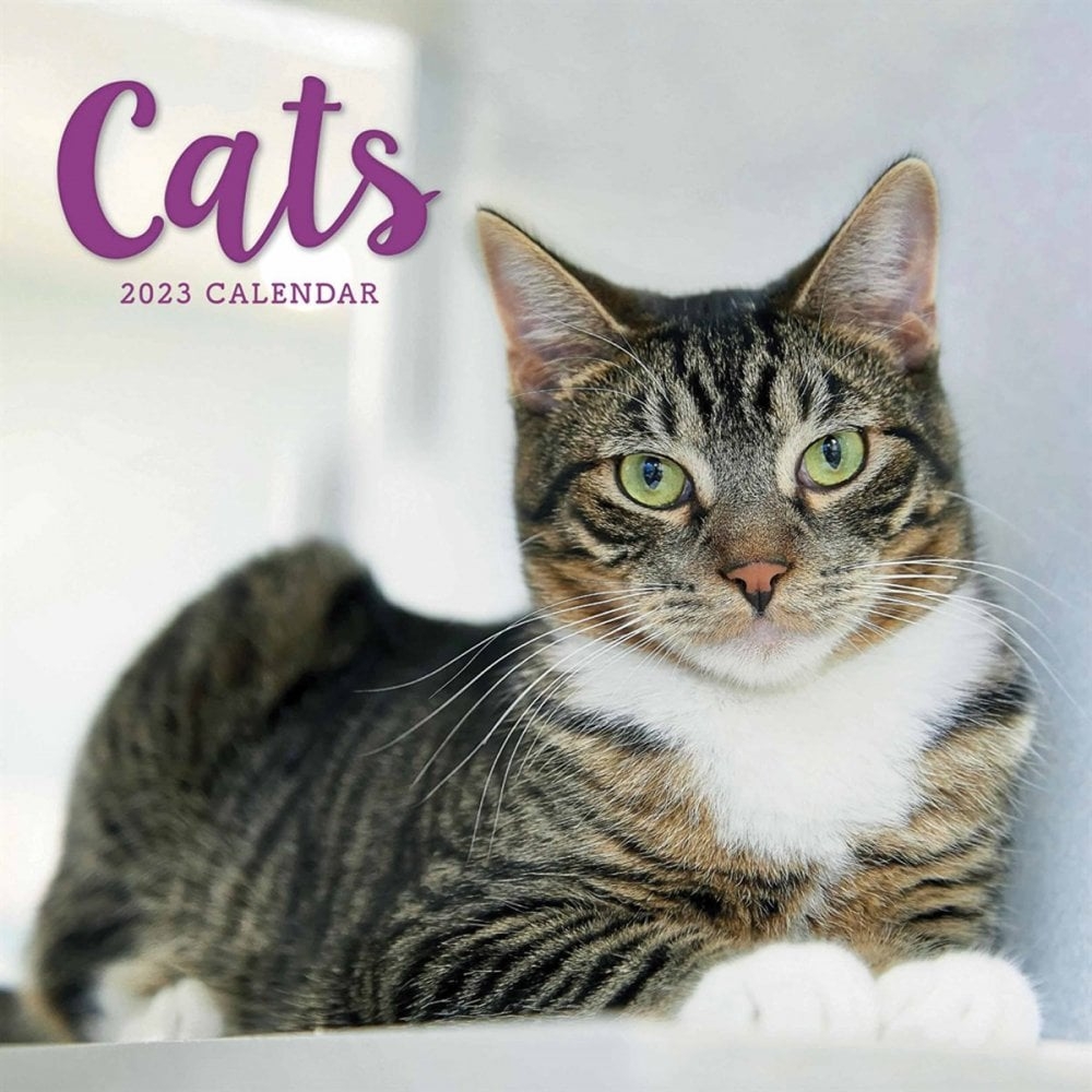 Cat Trivia Calendar 2025 Karim Grayson Cat Trivia Calendar 2025 Karim Grayson