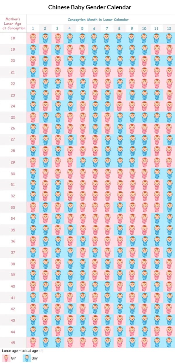Chinese New Year 2025 Gender Calendar