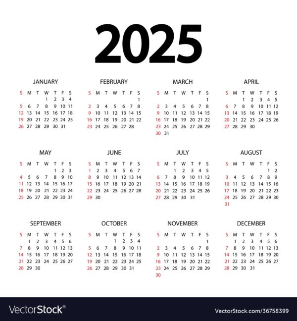 Diary Calendar 2025 Printable