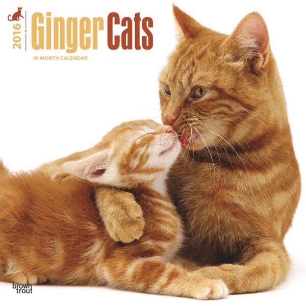 2025 Ginger Cat Calendar