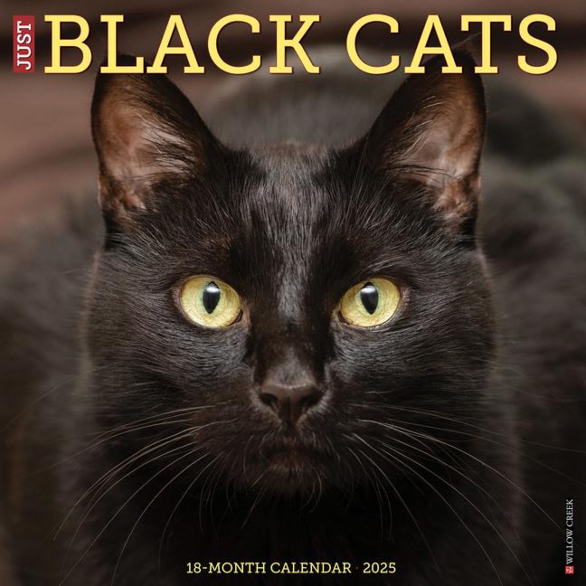 Just Black Cats 2025 12 X 12 Wall Calendar Tierkalender Thalia Just Black Cats 2025 12 X 12 Wall Calendar Tierkalender Thalia