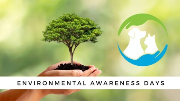 Awareness Days Calendar 2025 Uk