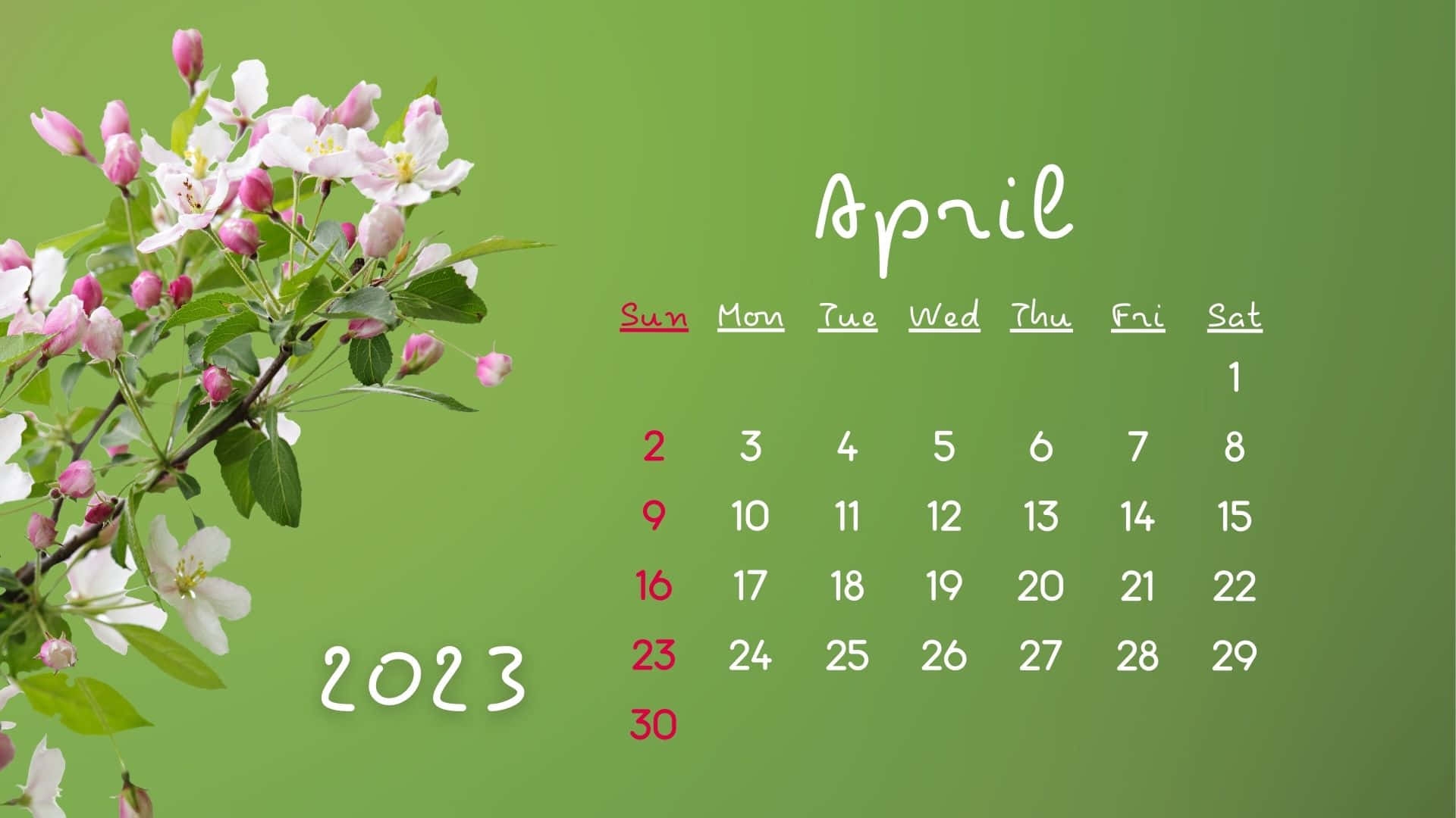 Spring Desktop Wallpaper 2023 Infoupdate Spring Desktop Wallpaper 2023 Infoupdate