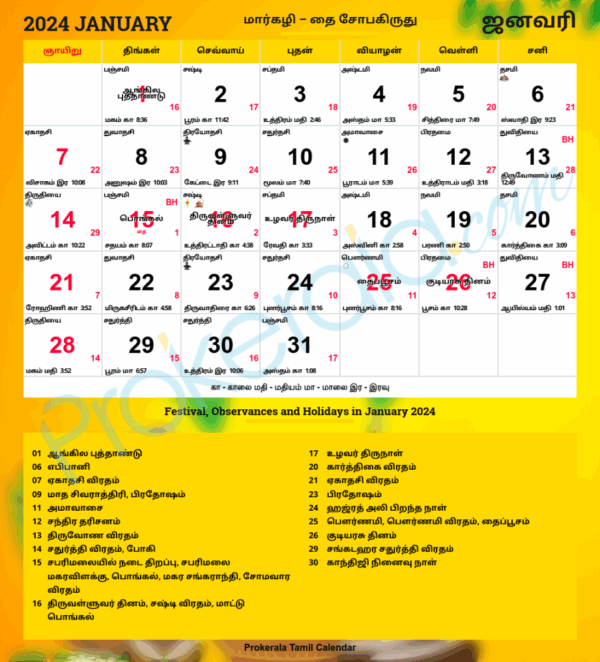 Daily Date Calendar 2025