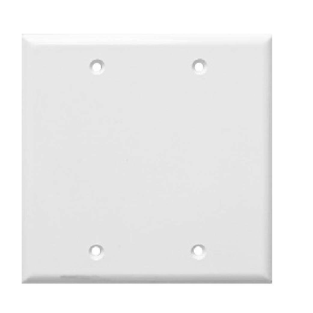2 GANG BLANK WALL PLATE Advantek LED Lighting Solutions Commercial 