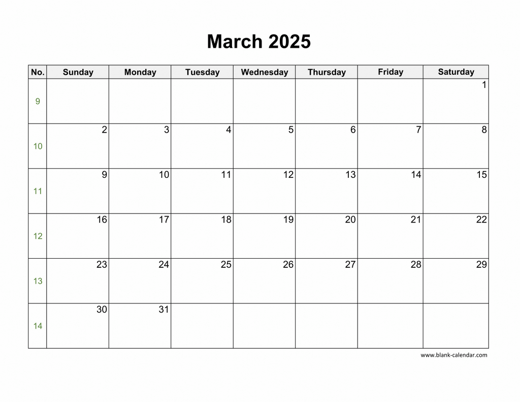 Blank Numbers March 2025 Calendar Printables