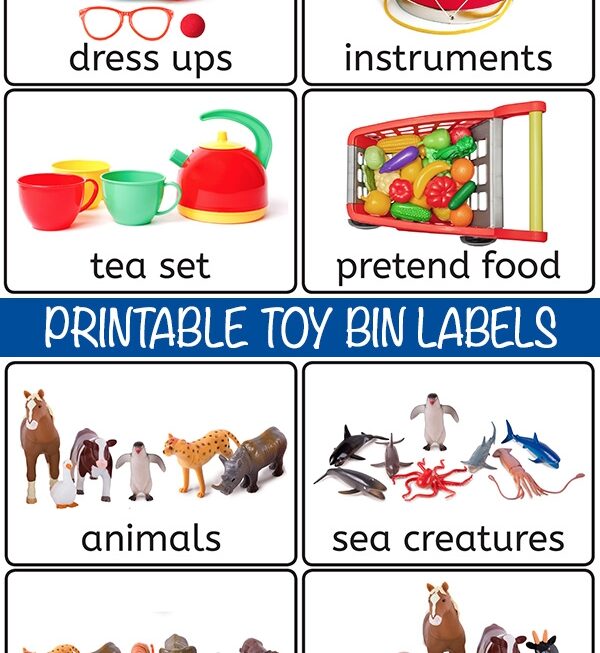 28 Free Printable Toy Bin Labels For Playroom Storage