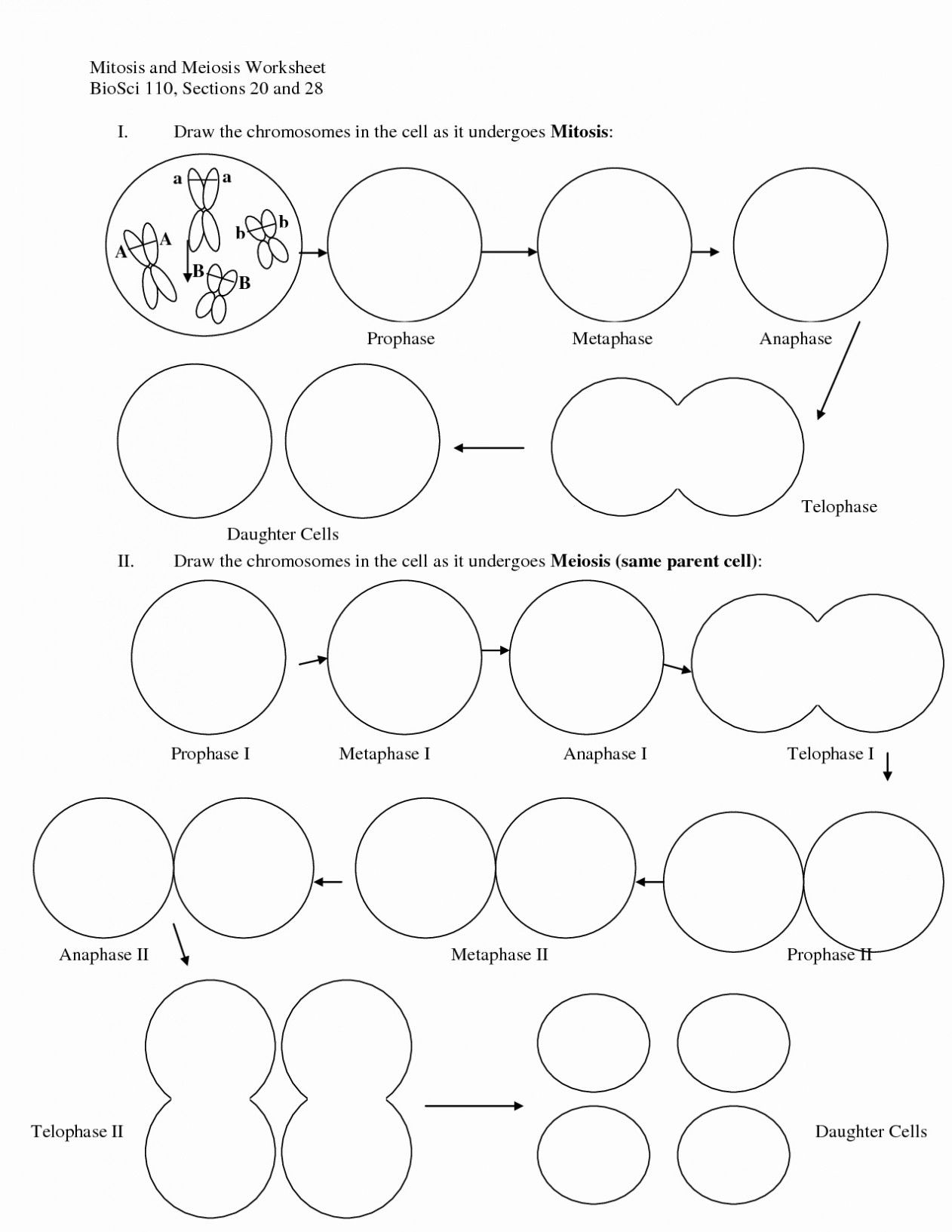 Amoeba Sisters Diffusion Worksheet Amoeba Sisters Diffusion Worksheet