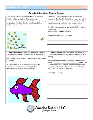 Amoeba Sisters Video Recap Diffusion Answer Key Fill Online Amoeba Sisters Video Recap Diffusion Answer Key Fill Online