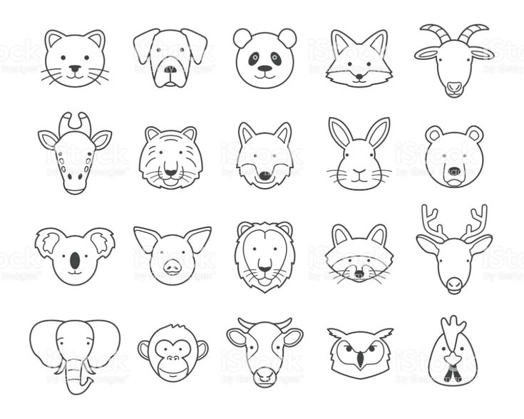 Animal Heads Black And White Outline Set Animal Faces Face Line Animal Heads Black And White Outline Set Animal Faces Face Line