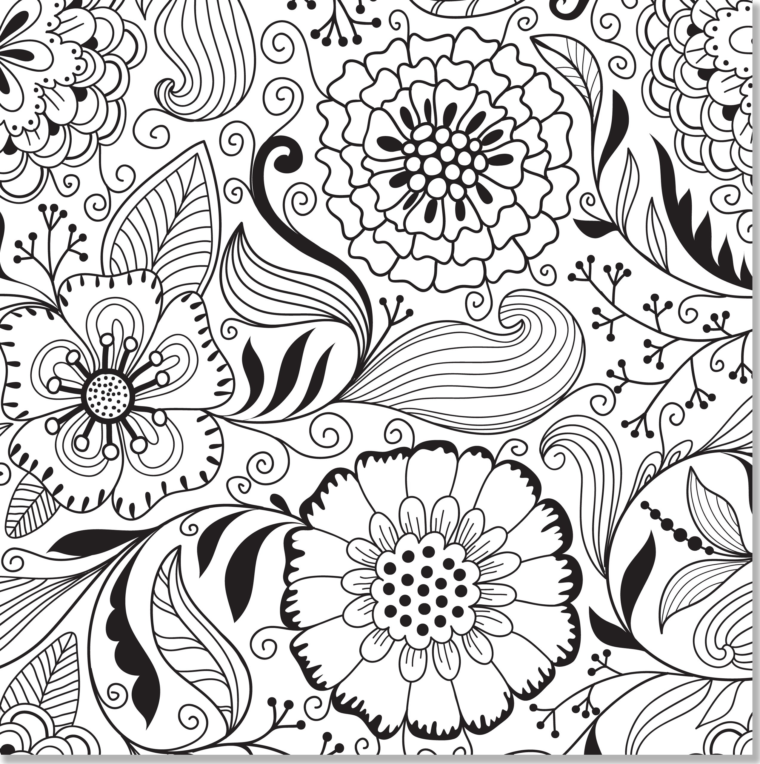 Blank Coloring Pages For Adults At GetDrawings Free Download Blank Coloring Pages For Adults At GetDrawings Free Download