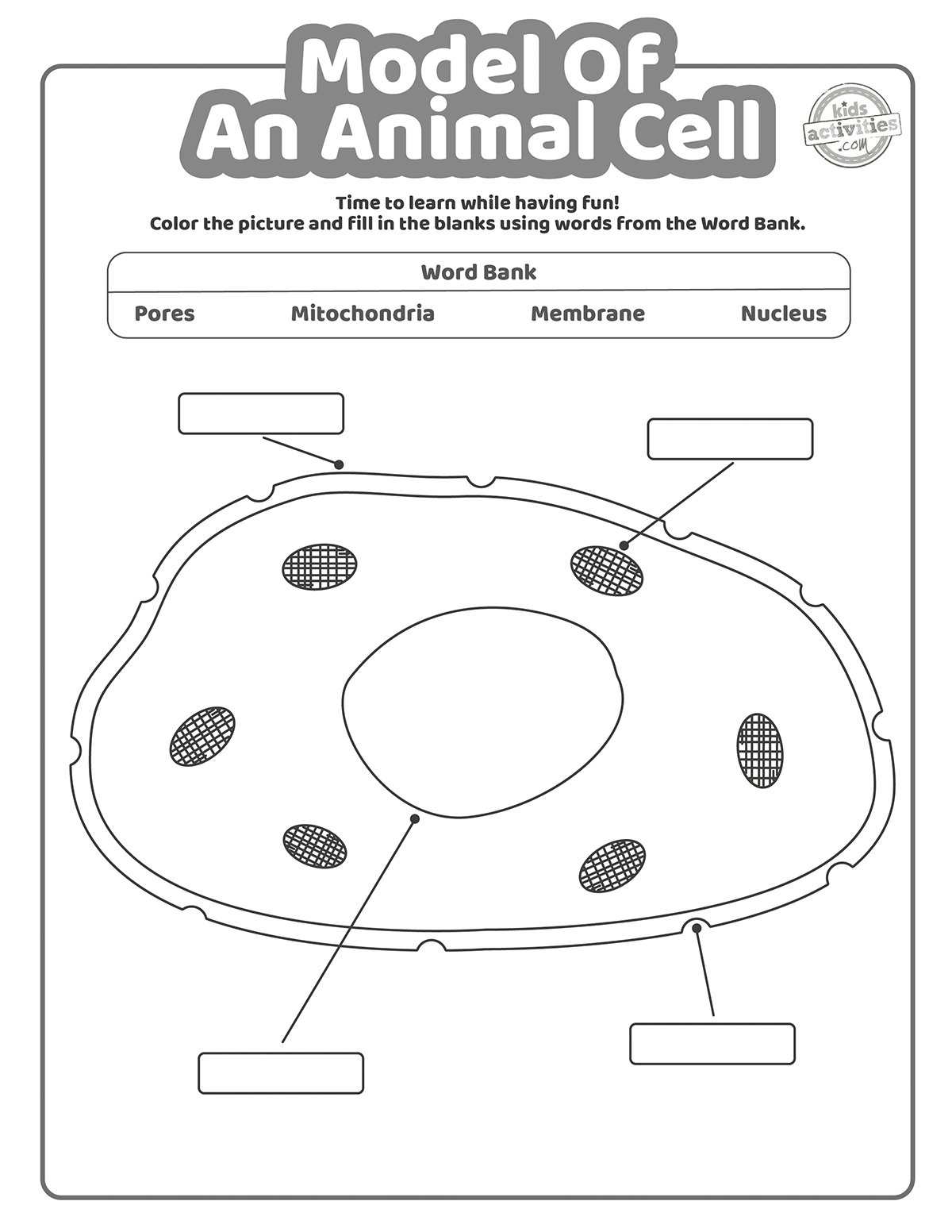 Blank Plant And Animal Cell Diagram