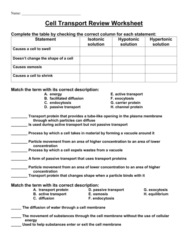 Transport In Cells Worksheet Blank Printable