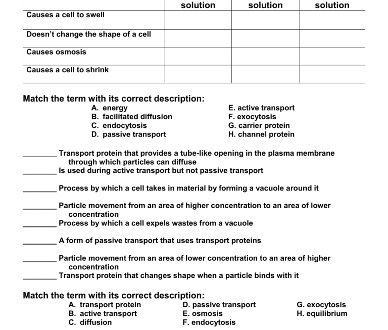 Cell Transport Review Worksheet Biology