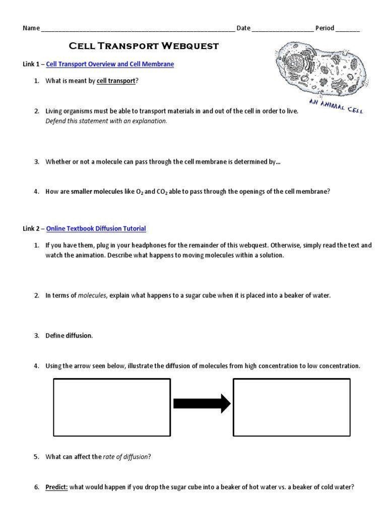 Cell Transport Worksheet Biology Answers Pin On Printable Worksheet 
