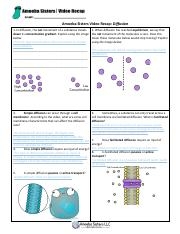 Ameba Sister Diffusion Worksheet Blank Printable Ameba Sister Diffusion Worksheet Blank Printable