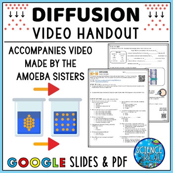Diffusion Video Handout For Video By The Amoeba Sisters Digital And Diffusion Video Handout For Video By The Amoeba Sisters Digital And