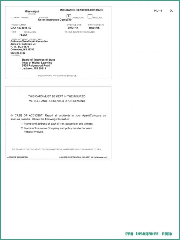 Printable Fillable Free Blank Insurance Card Template