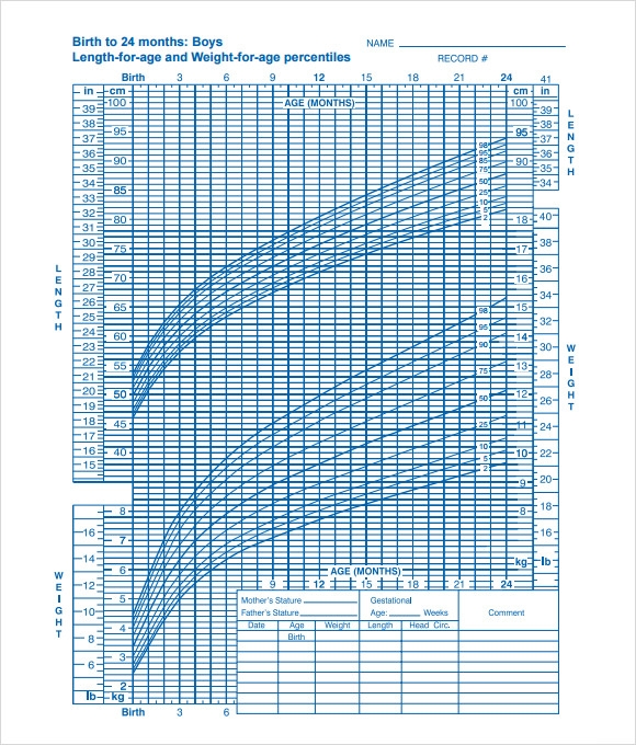 FREE 5 Sample Boys Growth Chart Templates In PDF