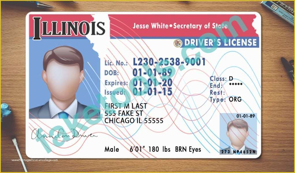 Free Editable Blank Illinois Drivers License Template Free Editable Blank Illinois Drivers License Template