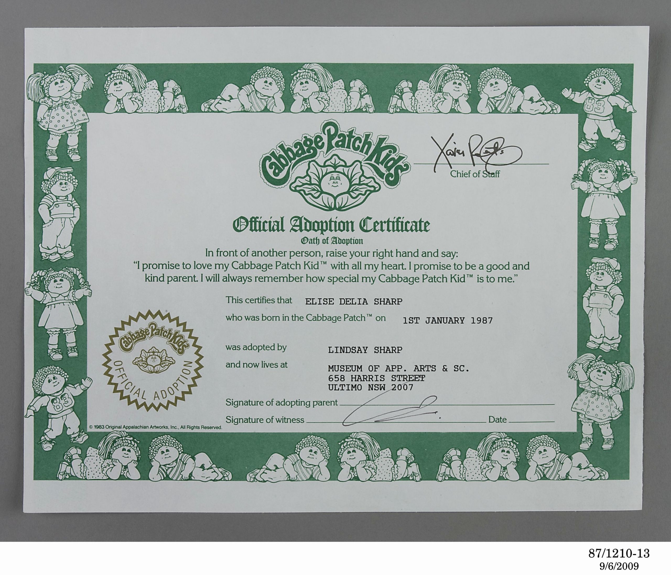 Free Printable Blank Cabbage Patch Birth Certificate Cabbage Patch 