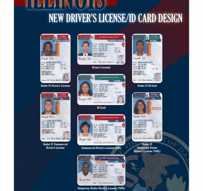 Free Printable Blank Illinois Drivers License Template FREE Printable A Z