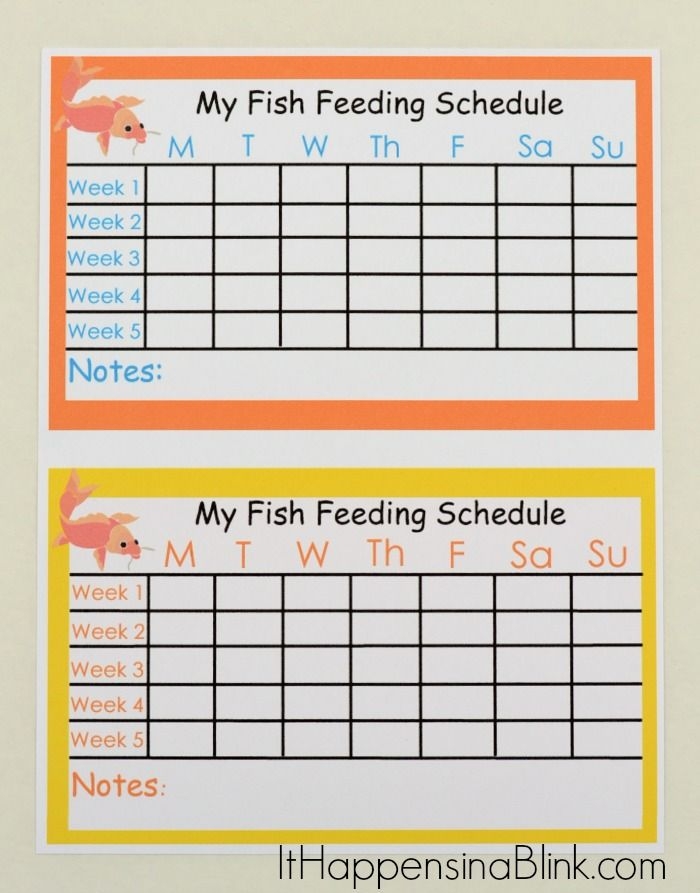 Free Printable Fish Feeding Schedule For Kids ItHappensinaBlink Free Printable Fish Feeding Schedule For Kids ItHappensinaBlink