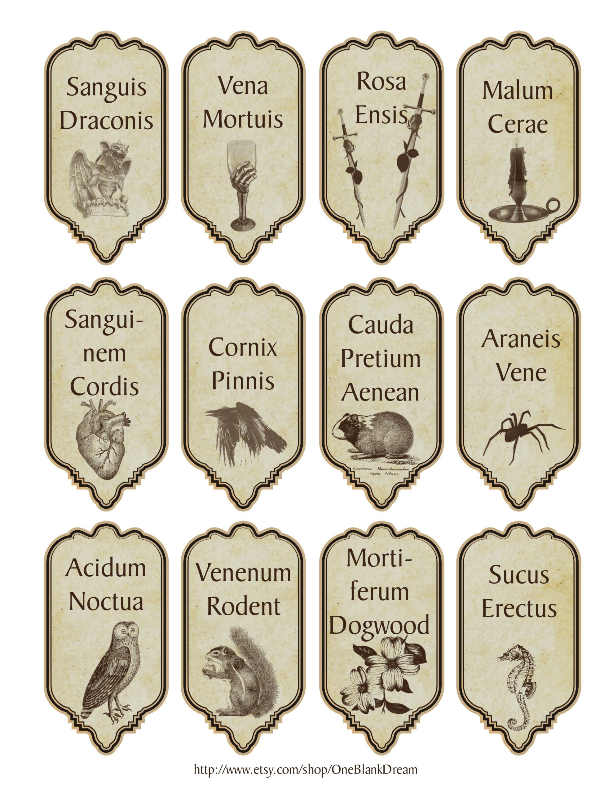 Free Blank Printable Apothecary Jar Labels Free Blank Printable Apothecary Jar Labels