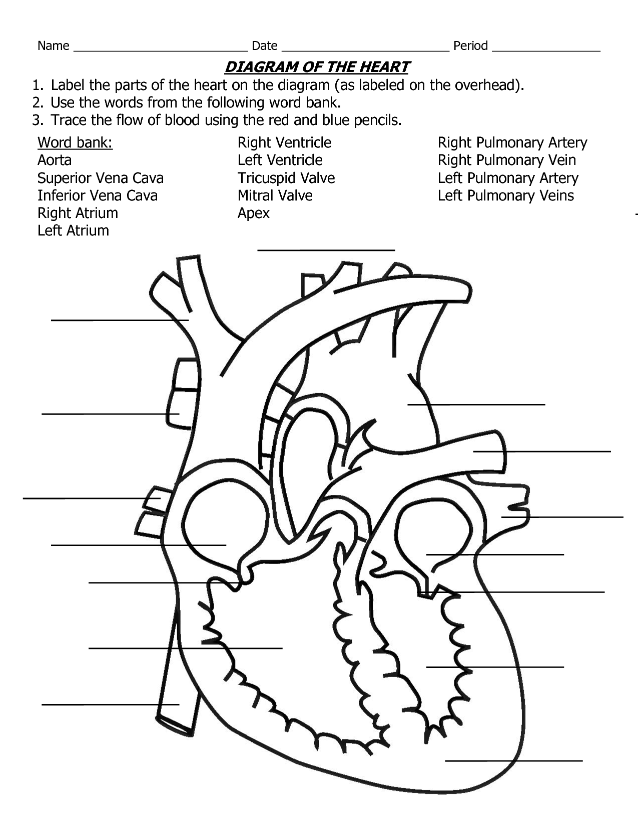 Heart Diagram Drawing At GetDrawings Free Download