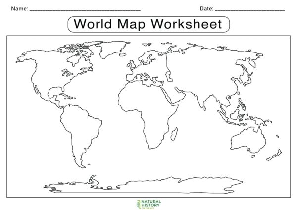 Printable Fill In The Blank World Map