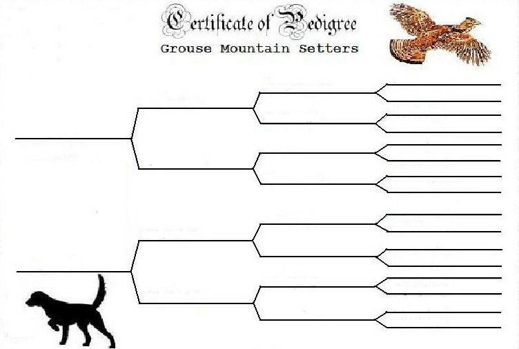 Printable Blank Dog Pedigree Chart To Print Girlfer