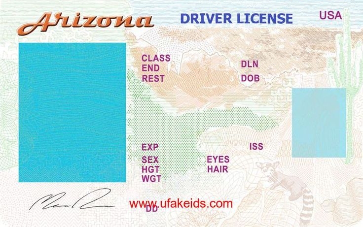 Printable Blank Drivers License Template Printable Blank Drivers License Template