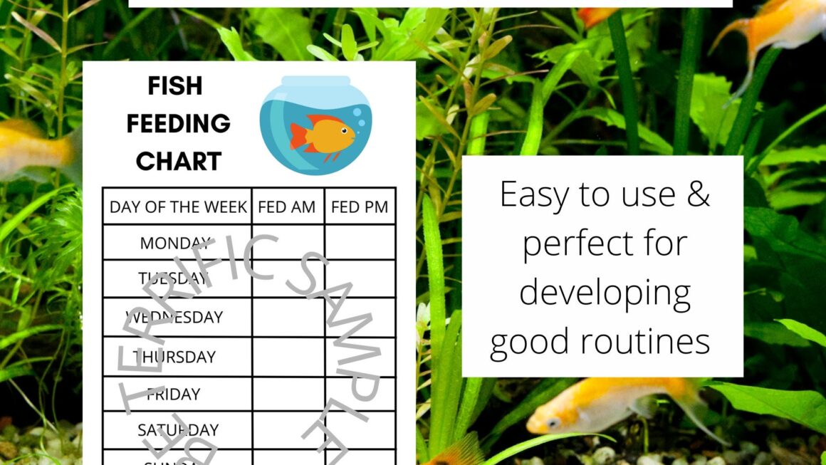 Printable Fish Feeding Chart Children 39 s Fish Feeding Chart Pet Chart