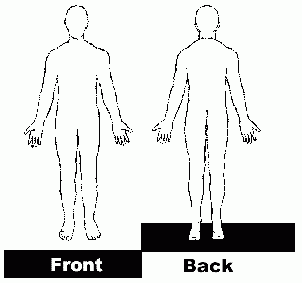 Printable Human Body Diagram Blank 1665297