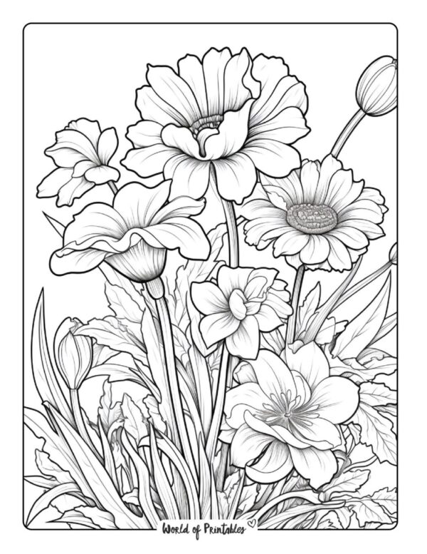 Free Printable Flower Coloring Pages For Adults Advanced