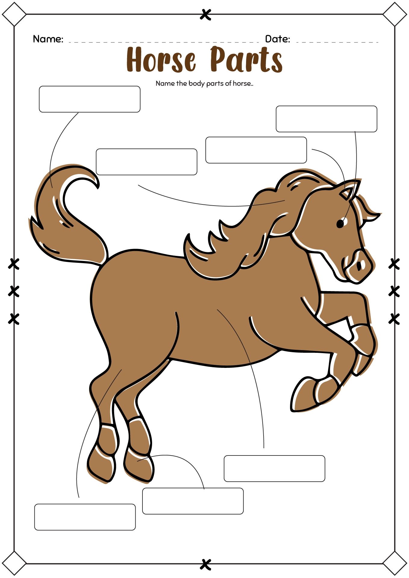 15 Horse Grooming Worksheets Free PDF At Worksheeto 15 Horse Grooming Worksheets Free PDF At Worksheeto