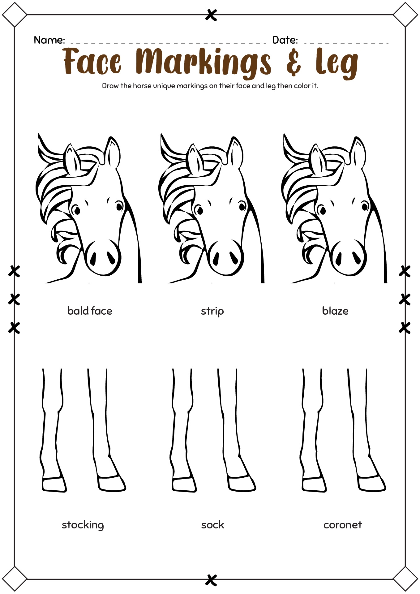 15 Horse Grooming Worksheets Free PDF At Worksheeto 15 Horse Grooming Worksheets Free PDF At Worksheeto