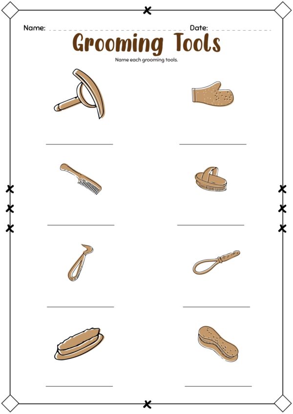 Grooming Tools For Horses Printable Worksheet