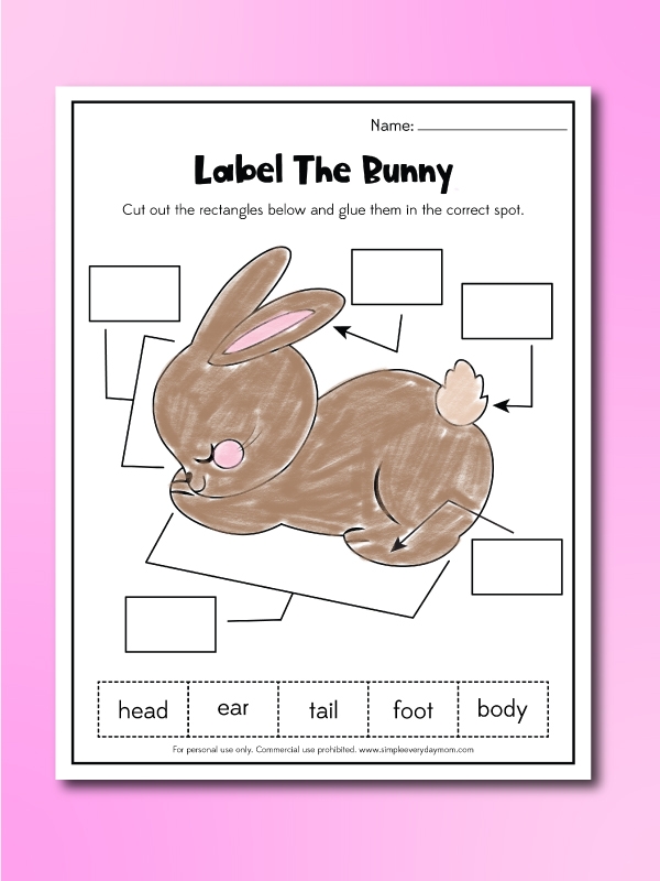 Bunny Shape Worksheet Printable Free