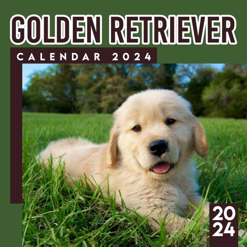 Calendar Printable 2025 Dog Boarding Zachary Gabriel