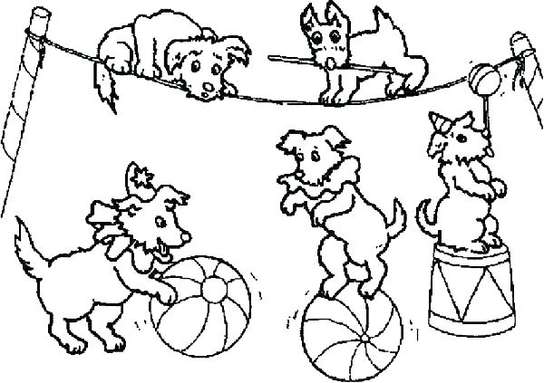 Carnival Of The Animals Coloring Pages At GetColorings Free 