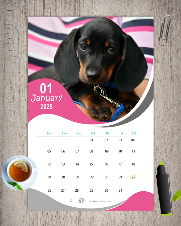Dog Breed Calendar 2025 A Comprehensive Guide To The Most Adorable 