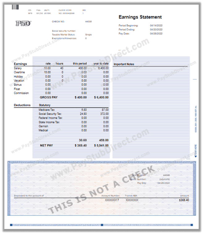 Downloadable Fillable Printable Pay Stub Template Free Fillable Blank 