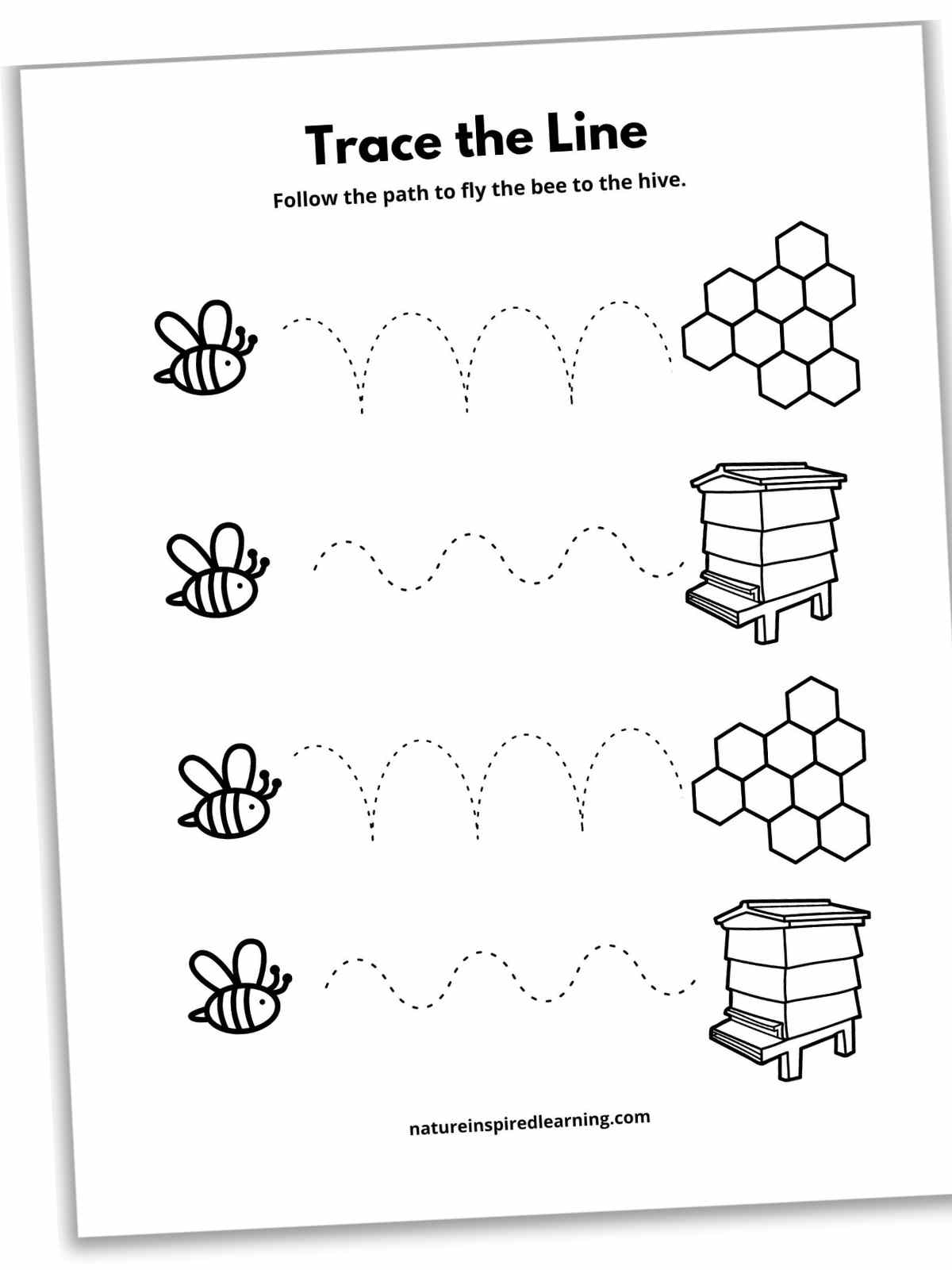 Free Free Dotted Line Worksheet Download Free Free Dotted Line 