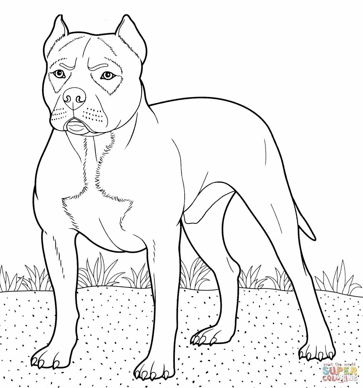 Free Pitbull Dog Coloring Pages Download Free Pitbull Dog Coloring 